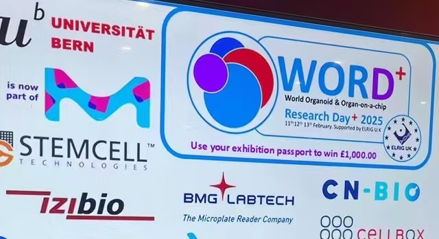 微信图片_20250801180907.jpg 微信图片_20250801180907.jpg